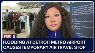 Flooding at Detroit Metro Airport causes temporary air travel stop