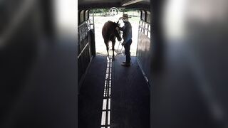 How To Teach a Horse To Back Off The Trailer Part 3 2