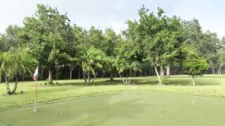 Funny Great Dane reluctantly gets wet in beautiful Florida sun shower