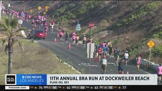 Hundreds participate in 11th Annual Bra Run at Dockweiler Beach