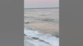 ☀️Sun just set????on the Rise 26th Ave Santa Cruz California #beach #santacruz #sunset #moon