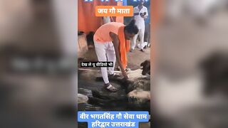 ये वीडियो सुन लिए #भगवाजी #reels #youtube #trending #instareels #cow #animal #instagram #india