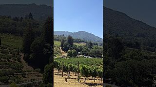 ????Overlooking Sonoma winemaking hills #shorts #travel #california #usa #trending