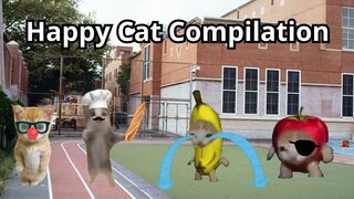 Happy Cat TikTok Compilation 3 - Banana Cat Series - The Cat Adventures