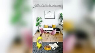 Happy Cat TikTok Compilation 3 - Banana Cat Series - The Cat Adventures