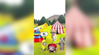 Happy Cat TikTok Compilation 3 - Banana Cat Series - The Cat Adventures