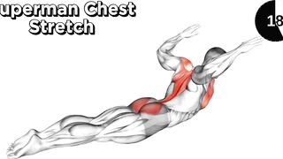 Stretching After Workout|stretch chest abs arm leg exercise|