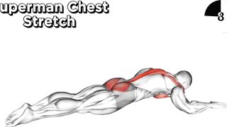 Stretching After Workout|stretch chest abs arm leg exercise|