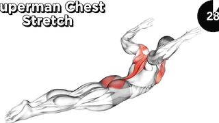 Stretching After Workout|stretch chest abs arm leg exercise|