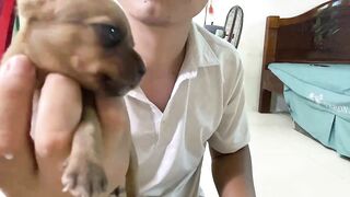 Cute Puppies - Funny and Cute Dog Videos Compilation 2023 - Part 23