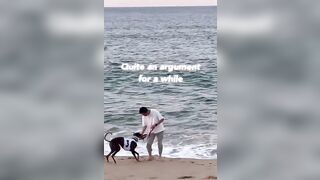 Our Greyhound's Unromantic Beach Expedition