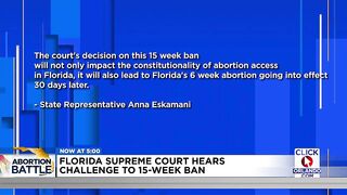 Florida Supreme Court hears challenge to 15-week abortion ban