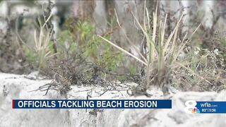 No Pinellas beach renourishment until all beachfront owners sign off
