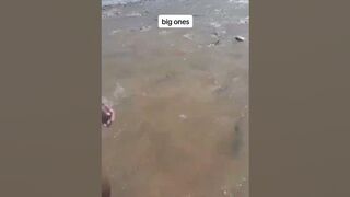 Big Catch at Mayaro Beach in Trinidad