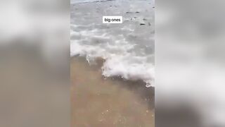 Big Catch at Mayaro Beach in Trinidad