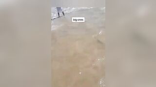 Big Catch at Mayaro Beach in Trinidad