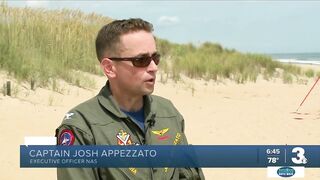 Sea turtles nest at Dam Neck Beach under the watchful eyes of NAS Oceana