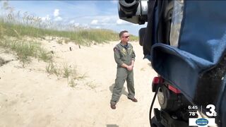 Sea turtles nest at Dam Neck Beach under the watchful eyes of NAS Oceana