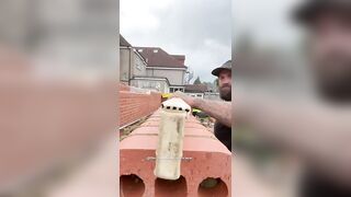 Always a challenge..Freehand bullsnose ???? #bricklaying #bricklayer #diy #viral #viralvideo #build