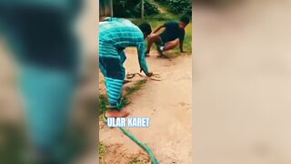 Compilation Video Funny indian Prank ULAR KARET.#funny#shortsindia