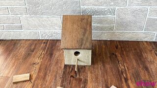 A Rustic Cottage Bird House Inspired by the Beach