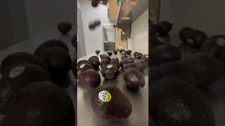 Avocados from Mexico are expensive ???? #comedy #funny #viral