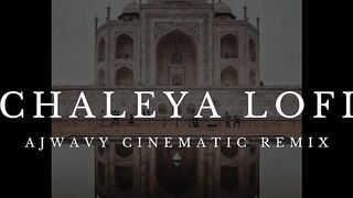 Chaleya Cinematic Lofi Remix (Tiktok Viral)