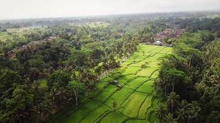 Exploring the Serene Beaches of Bali, Indonesia