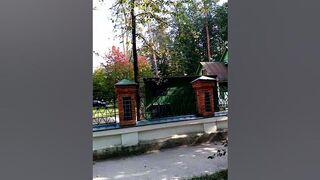 #Переделкино#Дача#Тарковский_здесь_снимал_Зеркало#shorts #video #news #viral #live #games #travel