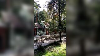 #Переделкино#Дача#Тарковский_здесь_снимал_Зеркало#shorts #video #news #viral #live #games #travel