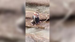 The whole family goes to the stream to cool off in the summer