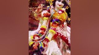 Jai shree krishna????????..#harekrishna #reelsinstagram #viral #bankebihari #instagram #songlyrics