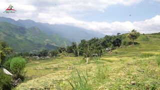 Highlight of Sapa Trekking Tour | Lily's Travel Agency