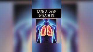 Take a Deep Breath | Square breathing technique #yoga #yogashakti