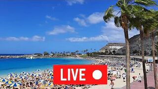 ???????? LIVE Amadores Beach Gran Canaria March 16, 2022 Weather Today Wetter Heute