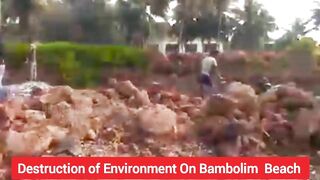 Why Everyone Silent On Bambolim Beach Destruction | Goans Watch