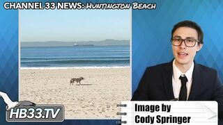 News of the Week Huntington Beach!