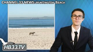 News of the Week Huntington Beach!