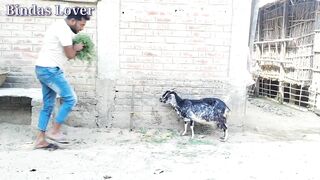 Best amazing funniest video 2022 Nonstop funny comedy video By Bindas lover