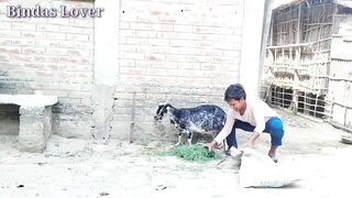 Best amazing funniest video 2022 Nonstop funny comedy video By Bindas lover