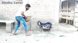 Best amazing funniest video 2022 Nonstop funny comedy video By Bindas lover