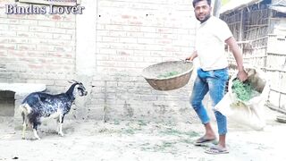 Best amazing funniest video 2022 Nonstop funny comedy video By Bindas lover