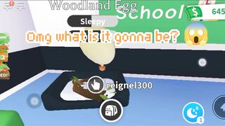 Hatching the new woodland egg! ???? (Roblox Adopt me)