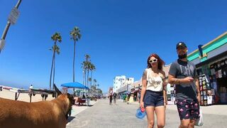 Cash 2.0 Great Dane meeting new people on the Venice Beach Boardwalk 37