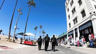 Cash 2.0 Great Dane meeting new people on the Venice Beach Boardwalk 37