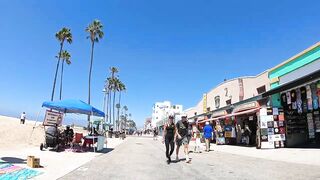 Cash 2.0 Great Dane meeting new people on the Venice Beach Boardwalk 37