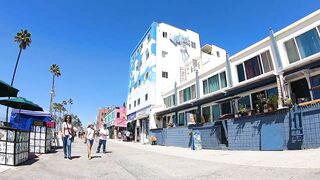 Cash 2.0 Great Dane meeting new people on the Venice Beach Boardwalk 37