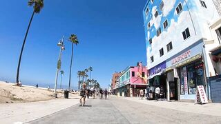 Cash 2.0 Great Dane meeting new people on the Venice Beach Boardwalk 37