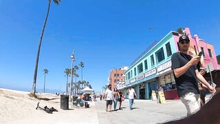 Cash 2.0 Great Dane meeting new people on the Venice Beach Boardwalk 37