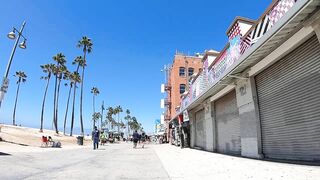 Cash 2.0 Great Dane meeting new people on the Venice Beach Boardwalk 37